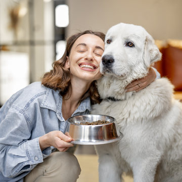 Everyday Accessories That Make Life Easier for You and Your Pet