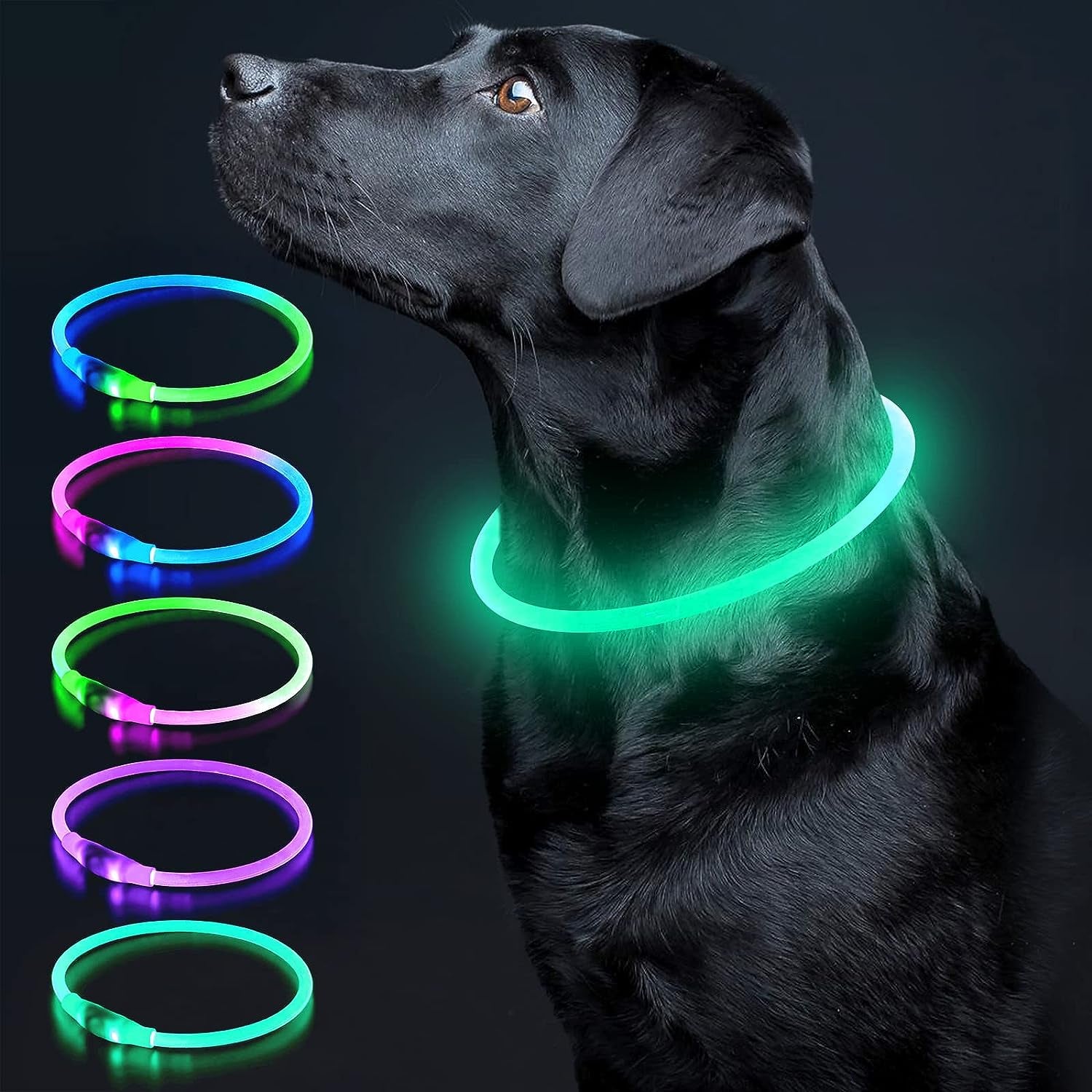 Illuminate Your Dog's Safety with Our USB Rechargeable LED Dog Collar - Perfect for All Breeds in Vibrant Cyan