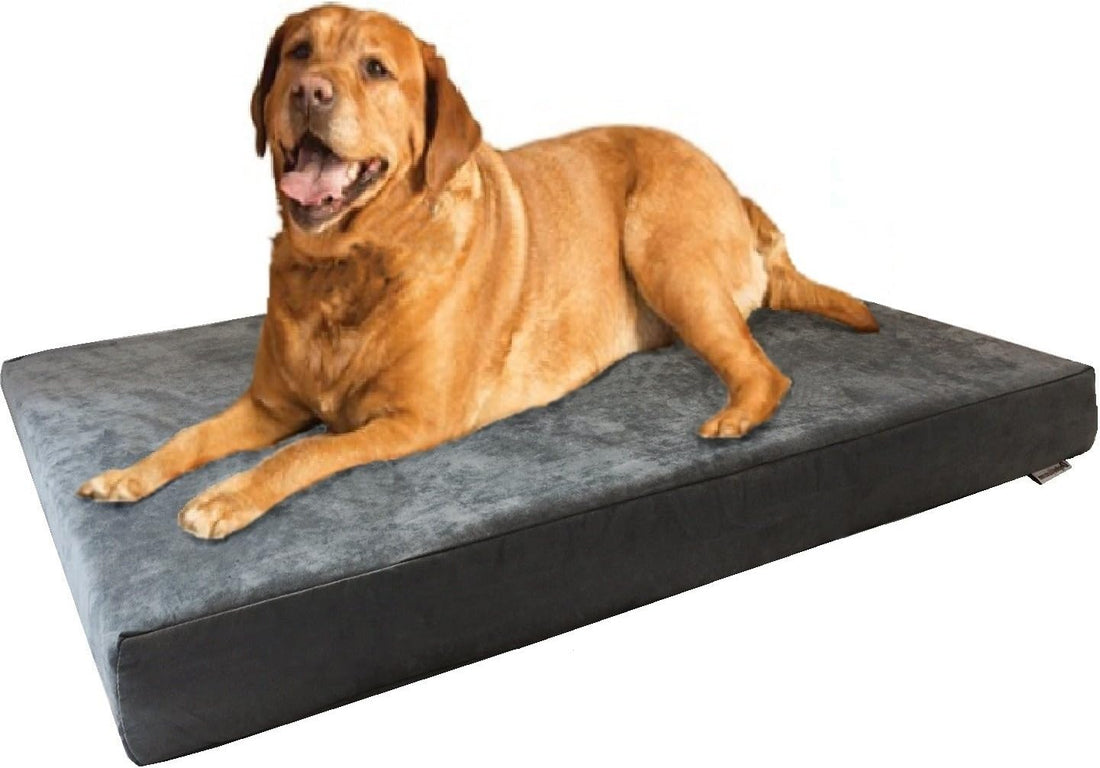 Extra Large Orthopedic Memory Foam Dog Bed - Ultimate Comfort with Waterproof Cover and Machine Washable Design for Large Breeds
