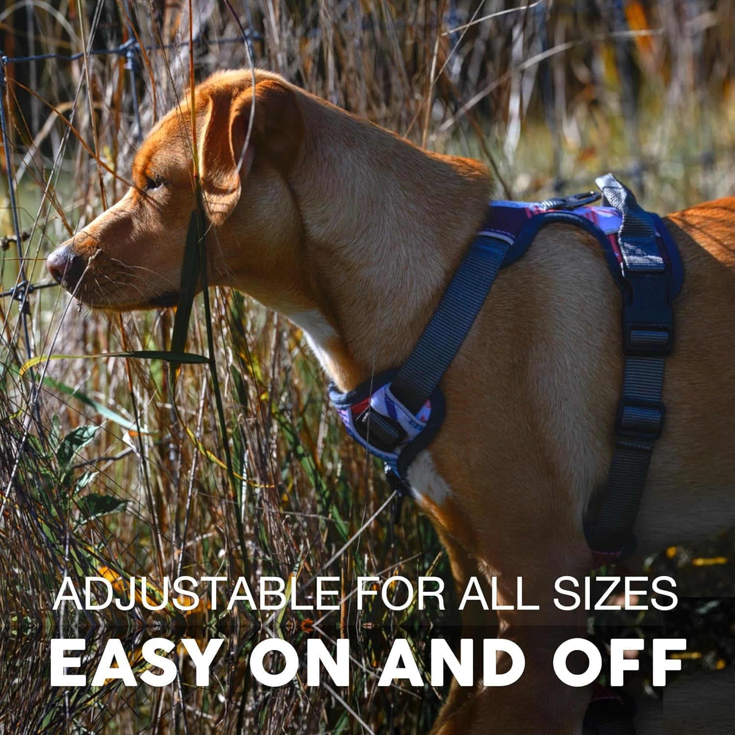 Embark Adventure Dog Harness - Ultimate No Pull Solution for Small Dogs with Reflective Trim and Gel Handle
