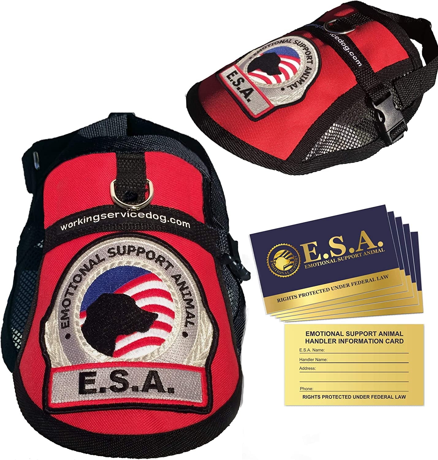 Ultimate Comfort and Support: Premium Emotional Support Dog Vest with Mesh Cooling Panel - Includes 5 Federal Law ESA Handout Cards (For 18" - 22" Girth, Vibrant Red)