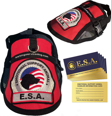Ultimate Comfort and Support: Premium Emotional Support Dog Vest with Mesh Cooling Panel - Includes 5 Federal Law ESA Handout Cards (For 18" - 22" Girth, Vibrant Red)
