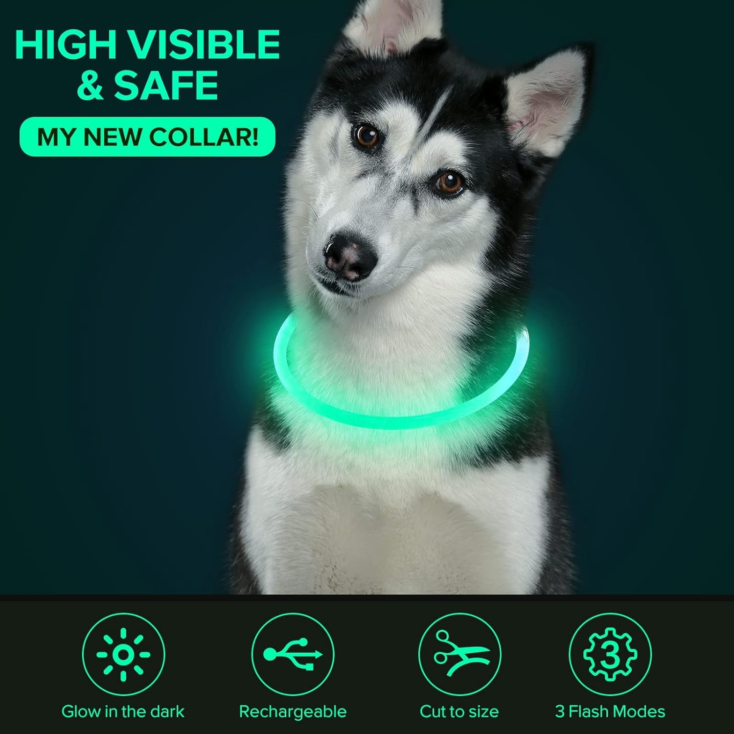 Illuminate Your Dog's Safety with Our USB Rechargeable LED Dog Collar - Perfect for All Breeds in Vibrant Cyan