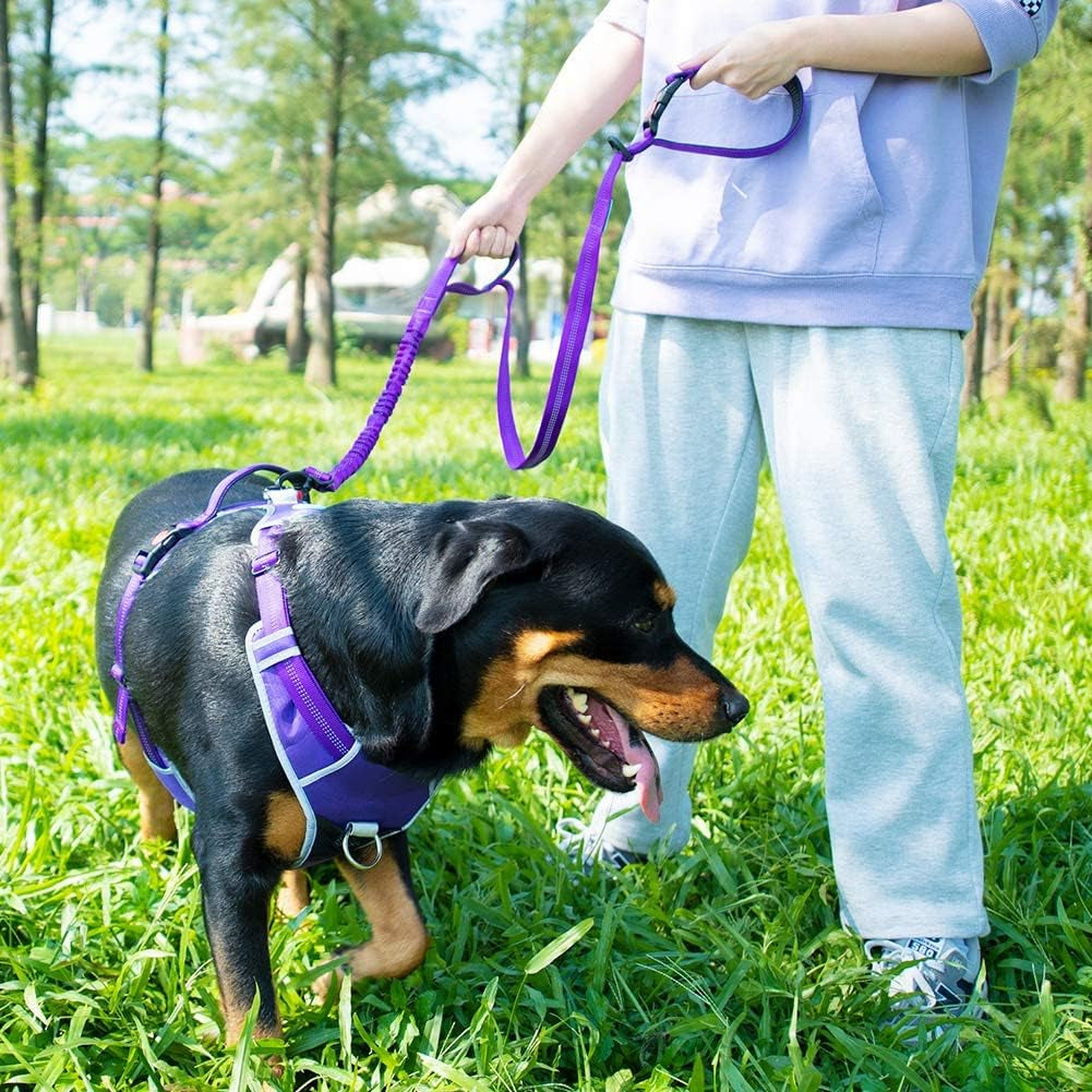 Ultimate No Pull Dog Harness and Leash Set - Reflective Vest with Dual Handle Leash for Maximum Control and Comfort in T-Purple