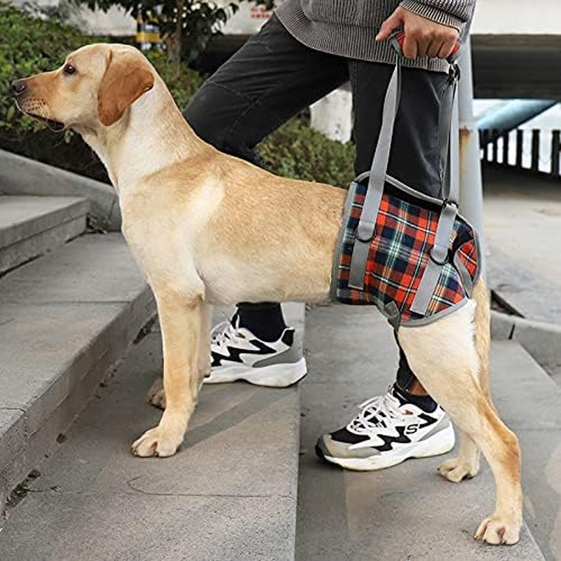 Ultimate Dog Lift Harness - Veterinarian Approved Support Sling for Senior Dogs with Joint Issues, Arthritis, and Recovery Needs