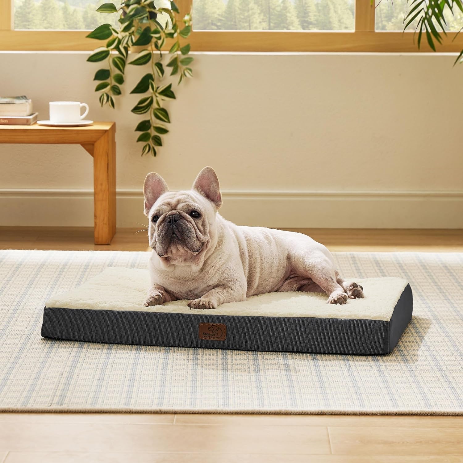 Cozy Orthopedic Dog Bed for Medium Breeds - Removable Washable Cover with Egg Crate Foam for Ultimate Comfort