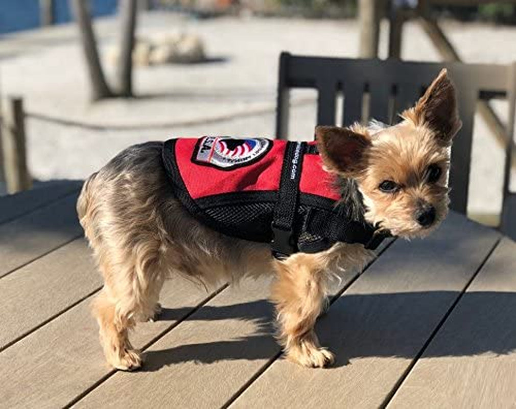 Ultimate Comfort and Support: Premium Emotional Support Dog Vest with Mesh Cooling Panel - Includes 5 Federal Law ESA Handout Cards (For 18" - 22" Girth, Vibrant Red)