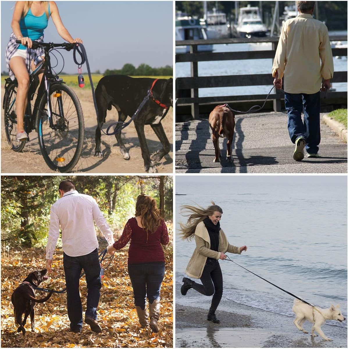 Ultimate 5Ft Heavy Duty Dog Leash with Dual Padded Handles – Perfect for Training and Safety with Reflective Accents for All Breeds