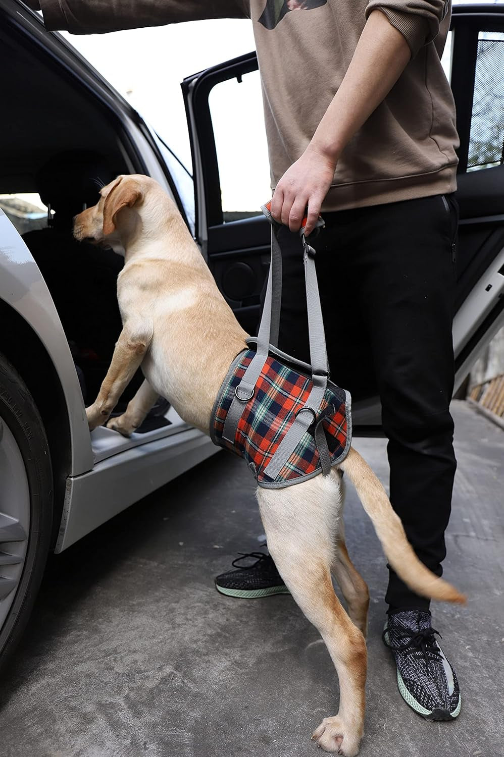 Ultimate Dog Lift Harness - Veterinarian Approved Support Sling for Senior Dogs with Joint Issues, Arthritis, and Recovery Needs