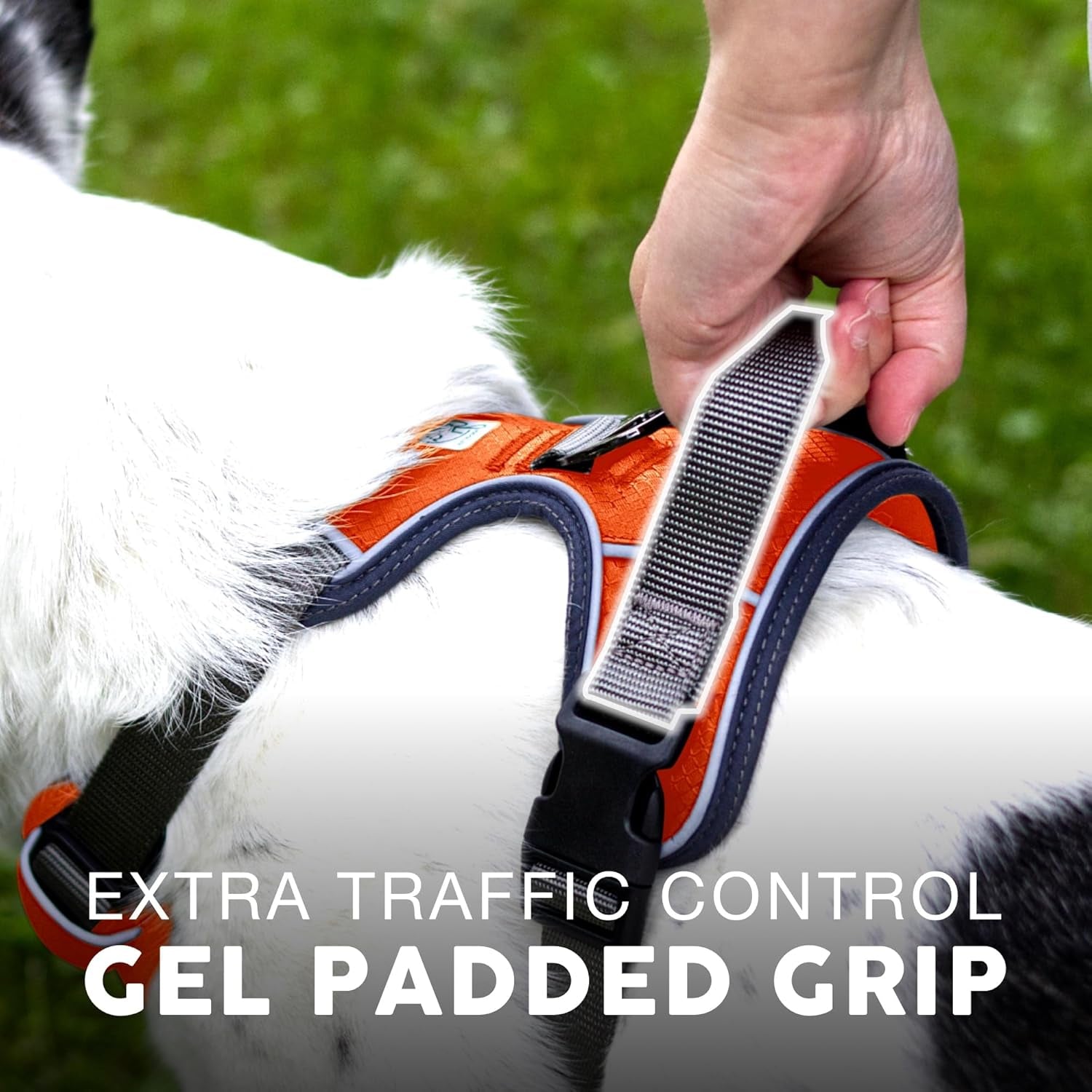 Embark Adventure Dog Harness - Ultimate No Pull Solution for Small Dogs with Reflective Trim and Gel Handle