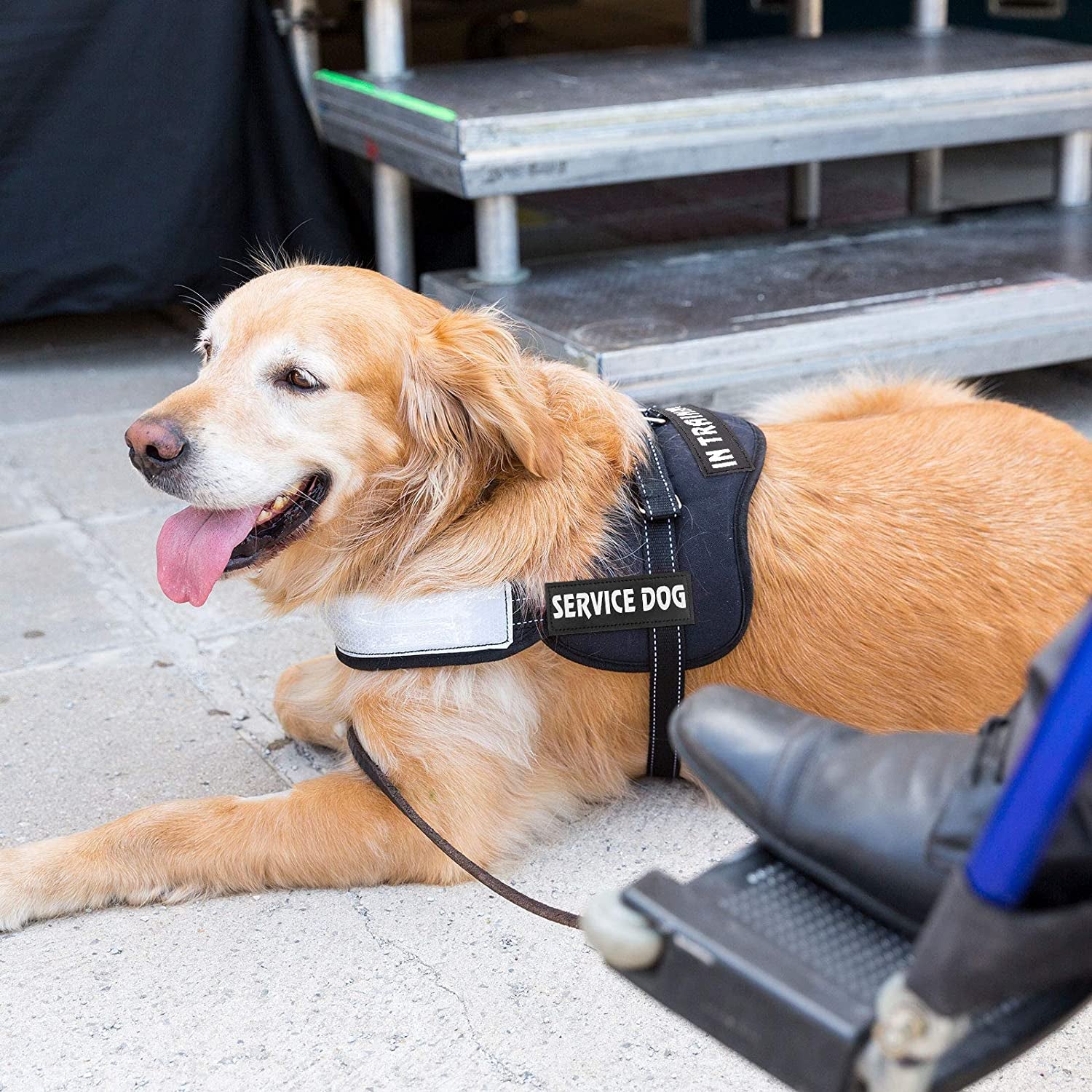 Enhance Your Dog's Safety with 8 Reflective Service Dog Vest Patches - Do Not Pet in Training Tactical Patches with Paw and Flag Designs