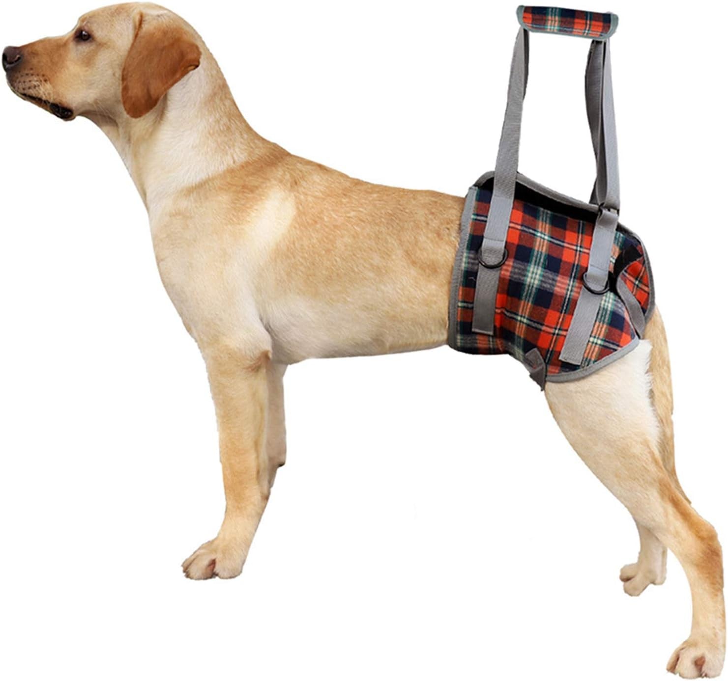 Ultimate Dog Lift Harness - Veterinarian Approved Support Sling for Senior Dogs with Joint Issues, Arthritis, and Recovery Needs