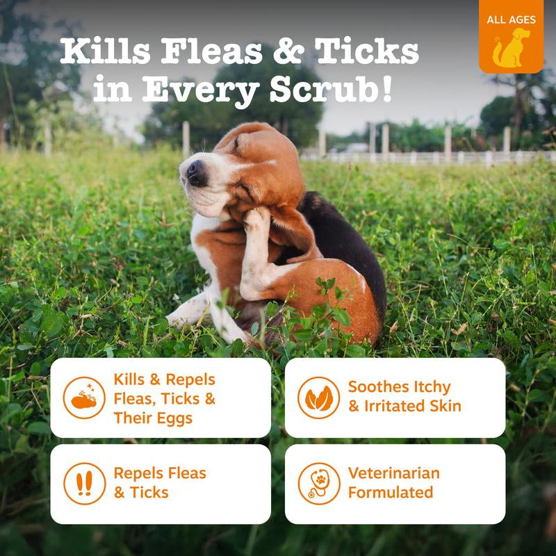 Zesty Paws Flea & Tick Veterinary Formulated Soothing Spray for Dogs, 16-Fl Oz Bottle