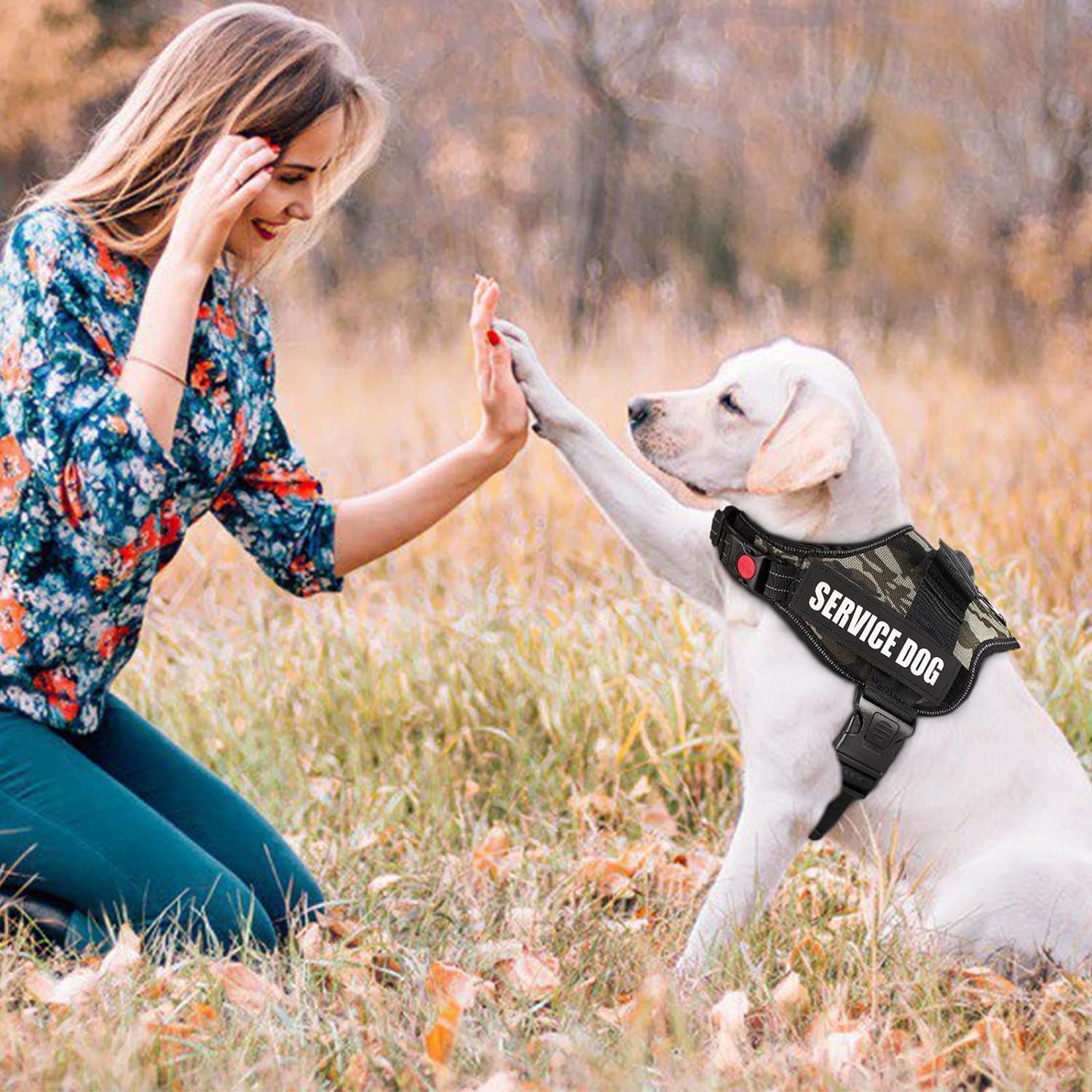 Ultimate Comfort Dog Harness - No Pull, Breathable, and Adjustable Soft Nylon Vest for Small to Large Dogs