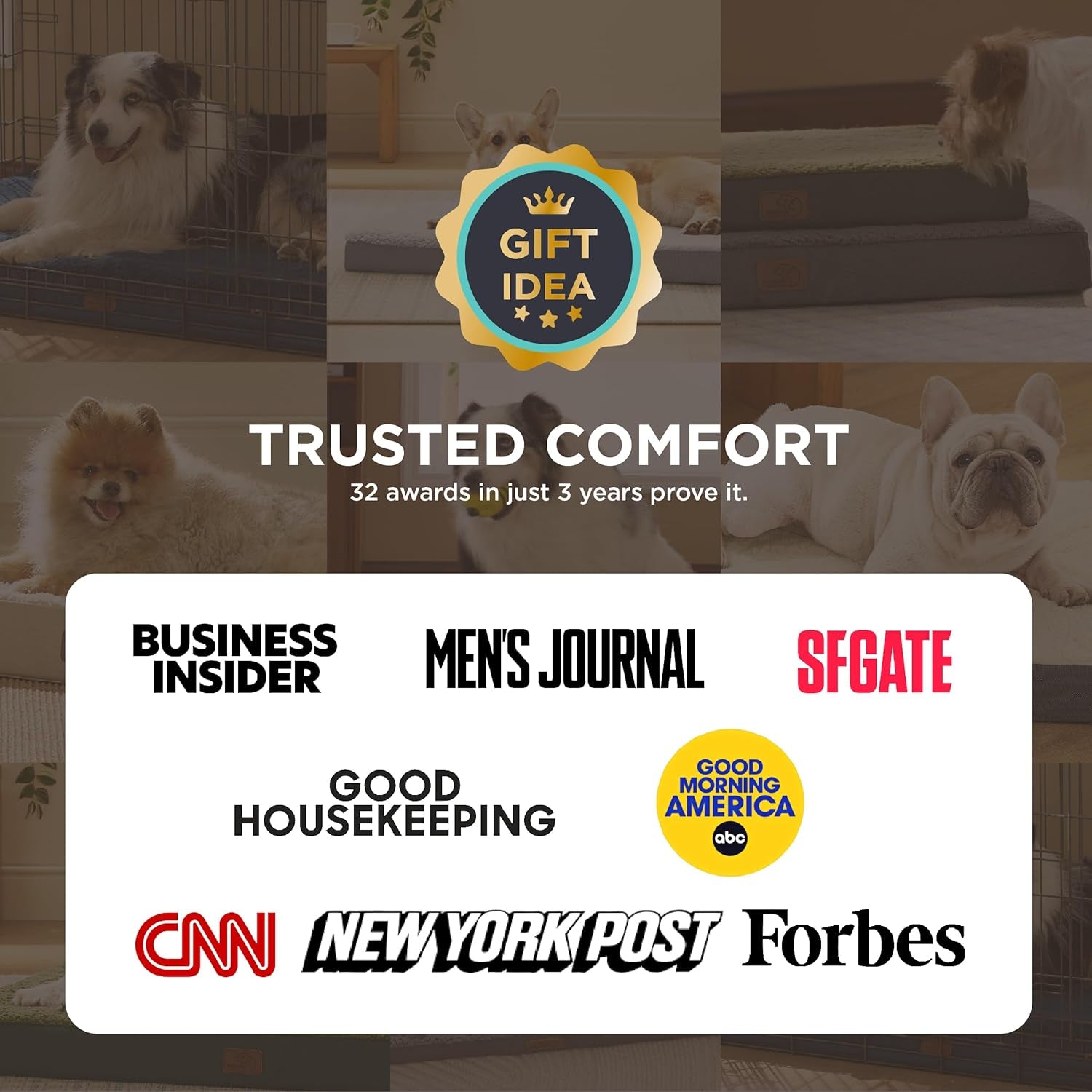 Cozy Orthopedic Dog Bed for Medium Breeds - Removable Washable Cover with Egg Crate Foam for Ultimate Comfort