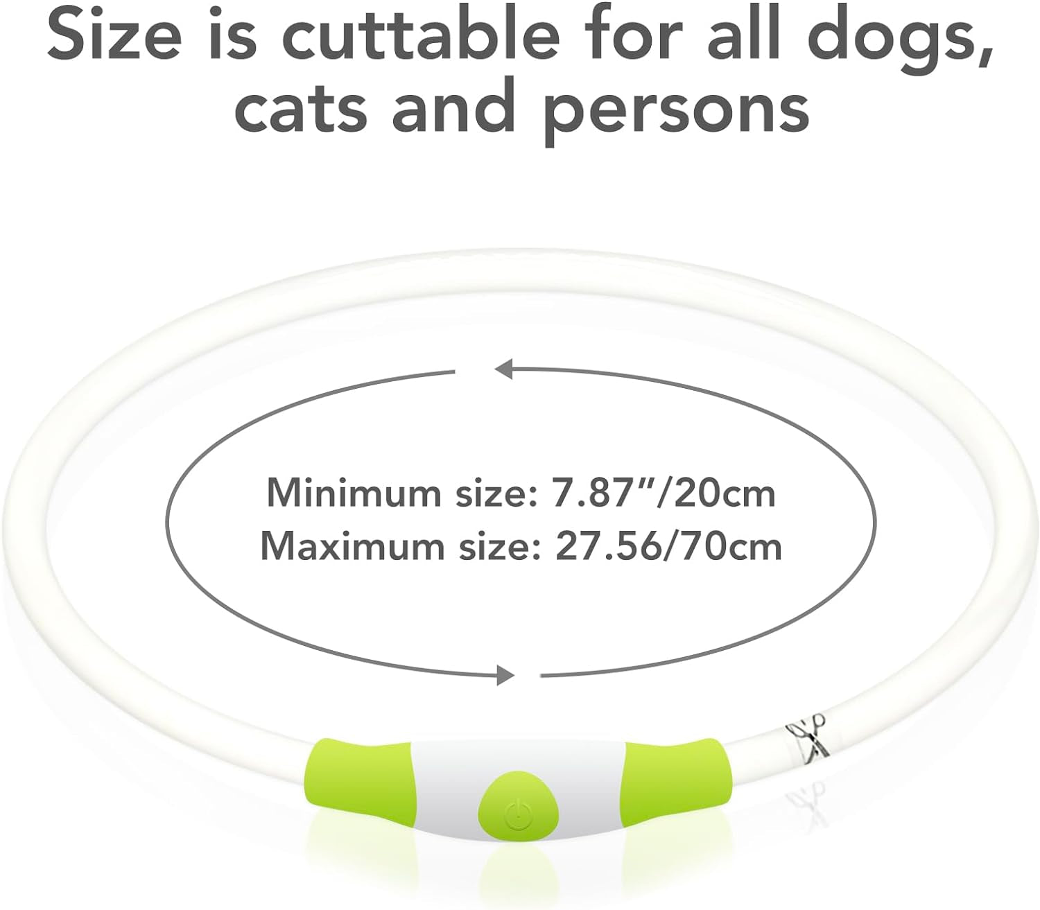 Illuminate Your Dog's Safety with Our USB Rechargeable LED Dog Collar - Perfect for All Breeds in Vibrant Cyan