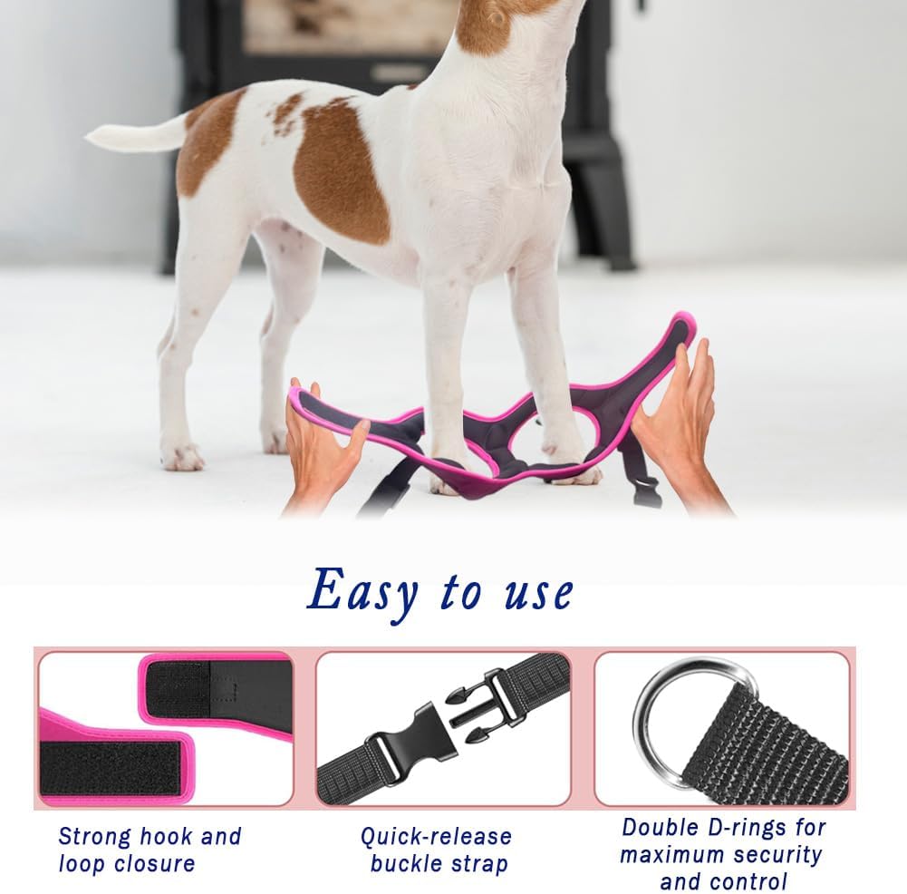 Ultimate Comfort Fit Dog Harness - Soft Padded, No Pull Design with Adjustable Buckles for Small to Large Dogs - Perfect for Walking, Jogging, and Training