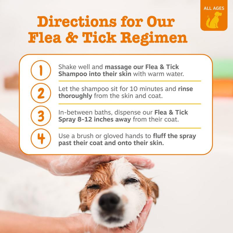 Zesty Paws Flea & Tick Veterinary Formulated Soothing Spray for Dogs, 16-Fl Oz Bottle