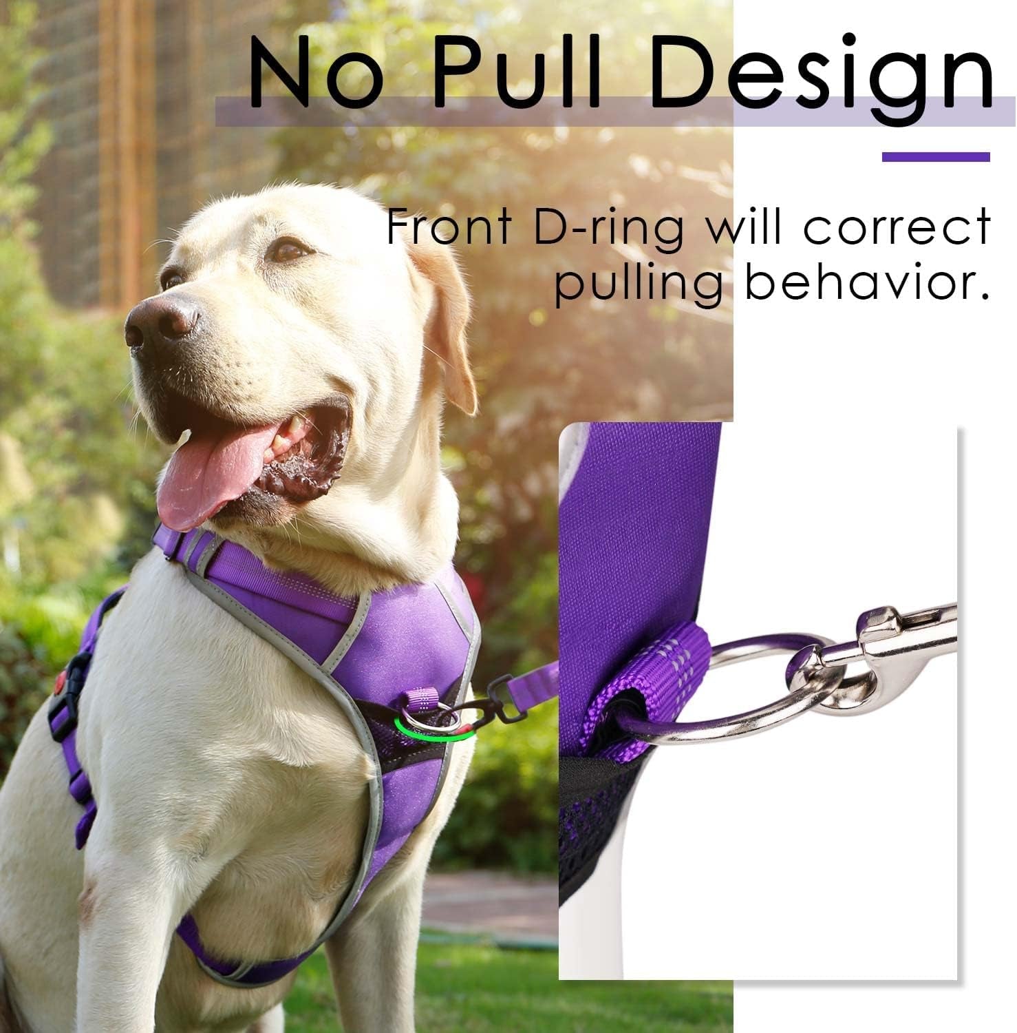 Ultimate No Pull Dog Harness and Leash Set - Reflective Vest with Dual Handle Leash for Maximum Control and Comfort in T-Purple