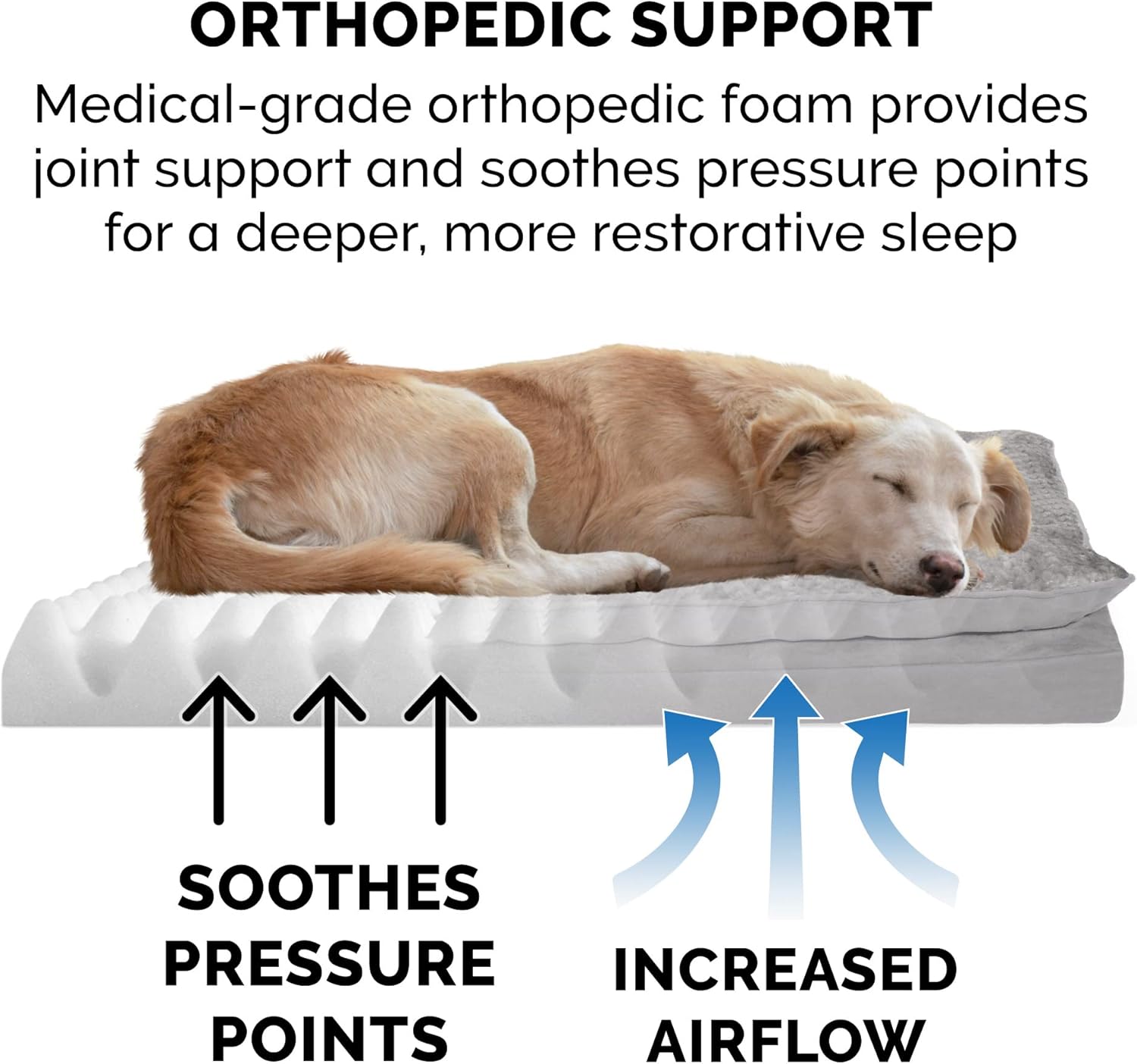 Luxurious Orthopedic Dog Bed with Removable Washable Cover - Perfect for Medium & Small Dogs Up to 35 lbs - Soft Minky Plush & Suede Pillow Top in Stylish Titanium Gray