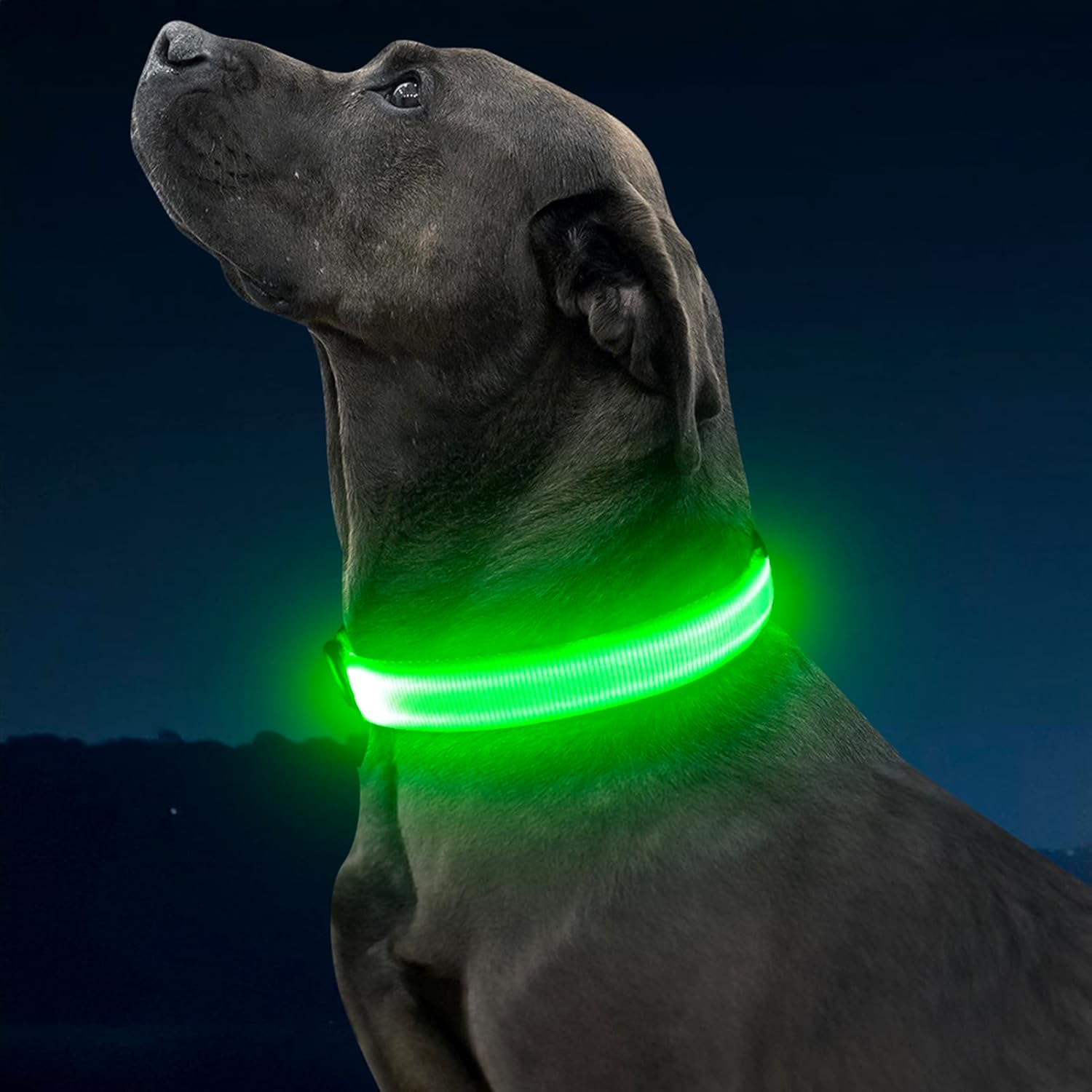 Illuminate Your Dog's Safety with Our Rechargeable LED Dog Collar - Perfect for Night Walks and Outdoor Adventures (Green, Large)