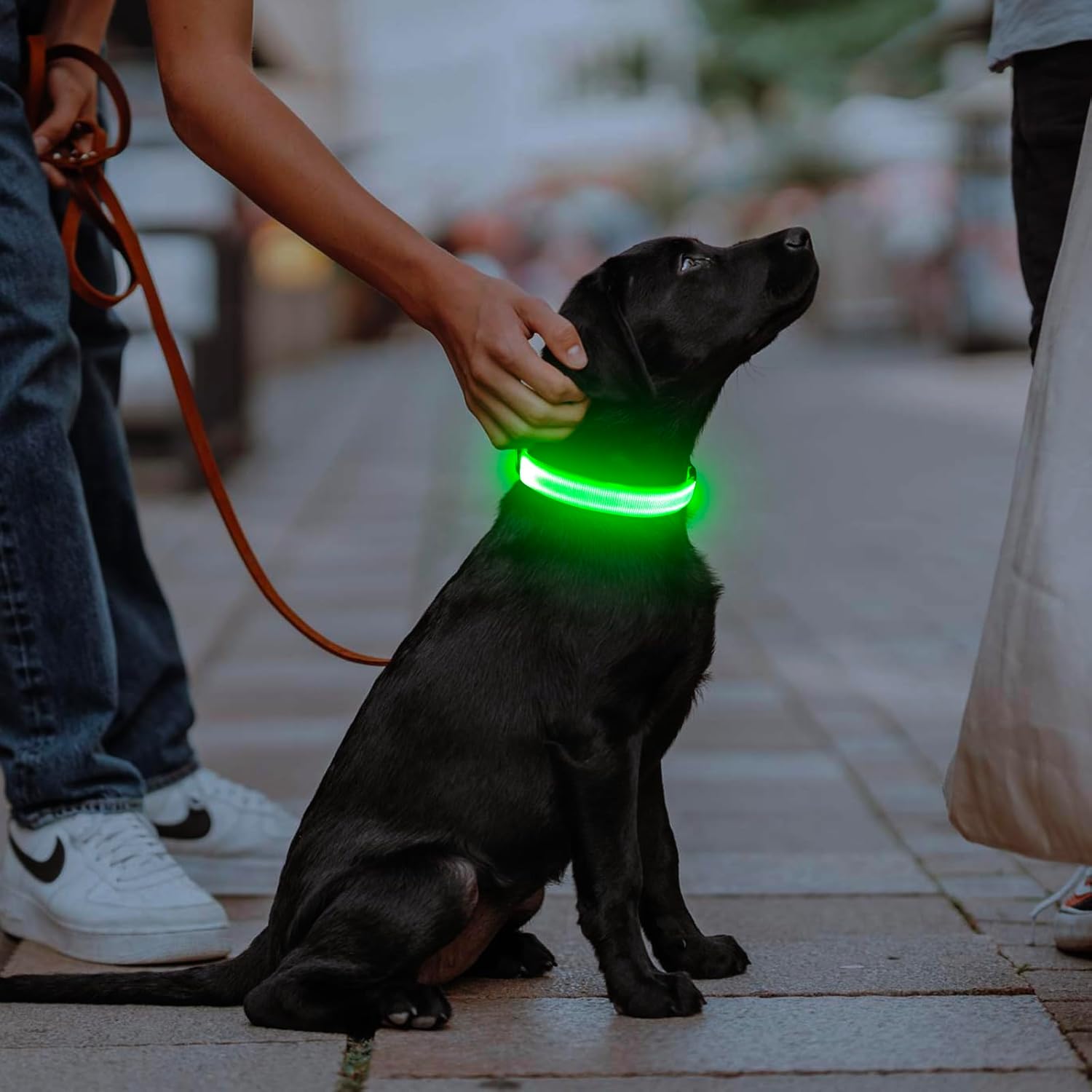 Illuminate Your Dog's Safety with Our Rechargeable LED Dog Collar - Perfect for Night Walks and Outdoor Adventures (Green, Large)