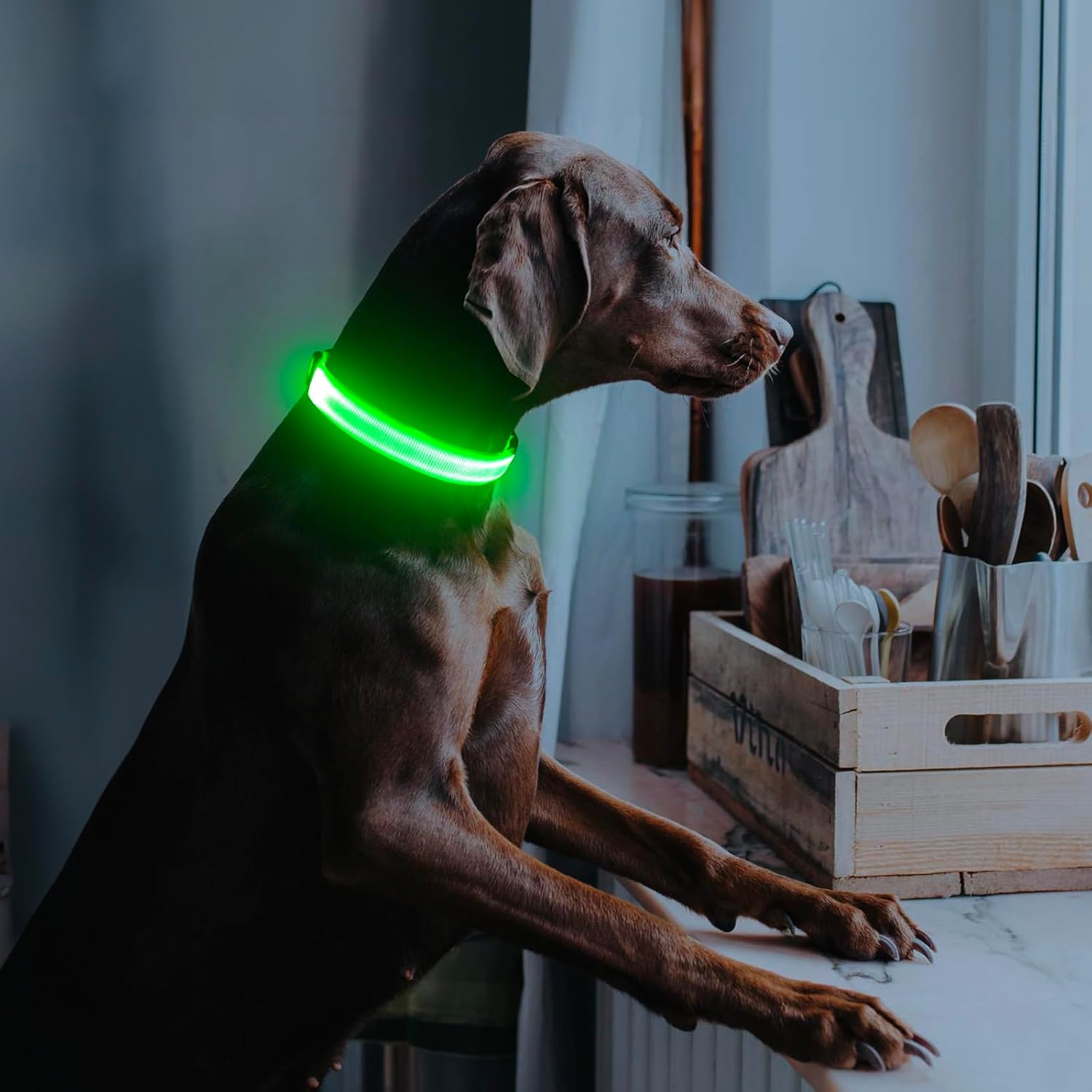Illuminate Your Dog's Safety with Our Rechargeable LED Dog Collar - Perfect for Night Walks and Outdoor Adventures (Green, Large)