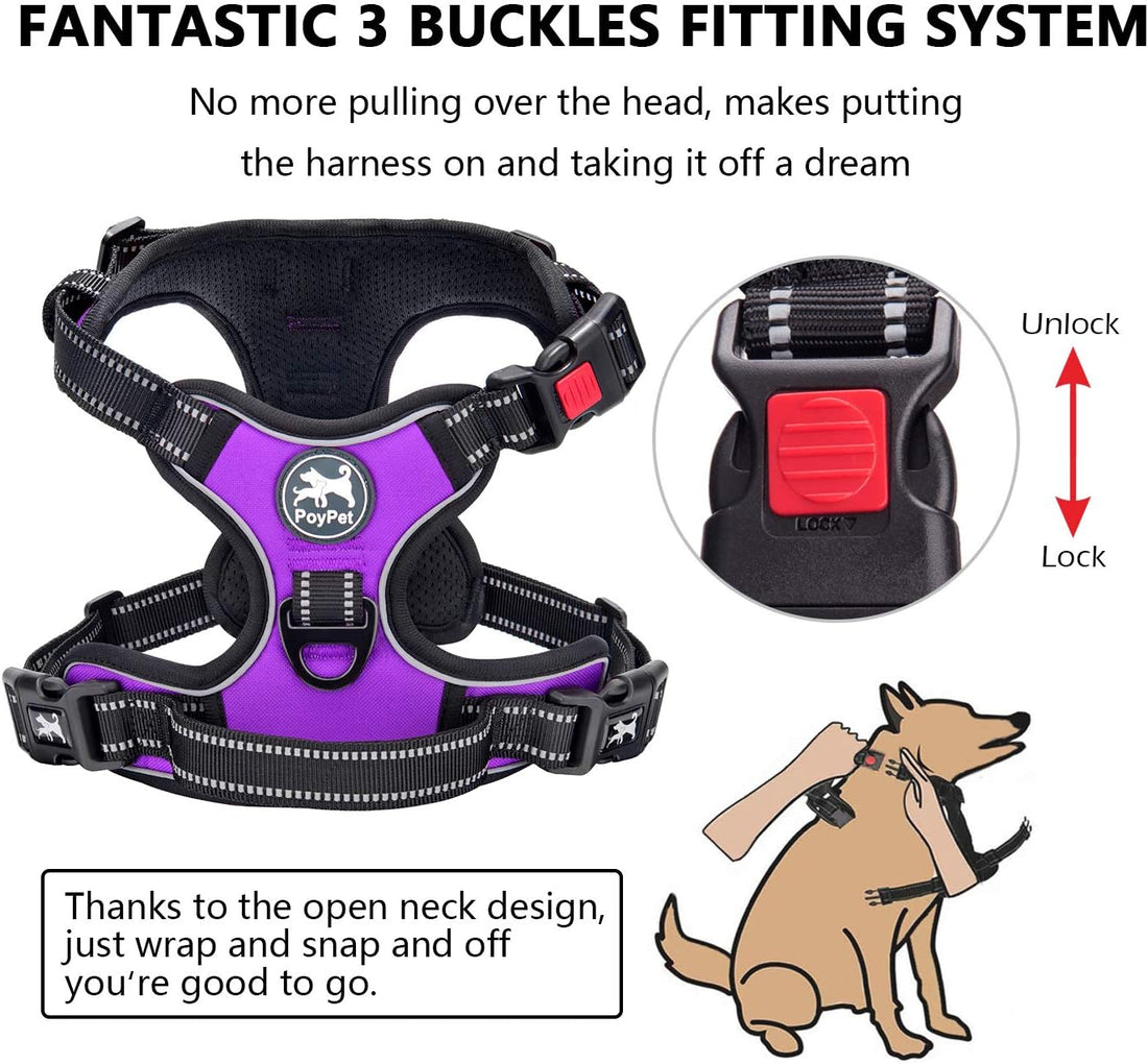 Ultimate No Pull Dog Harness - Adjustable, Reflective & Comfortable Vest for All Breeds (Purple, Medium)