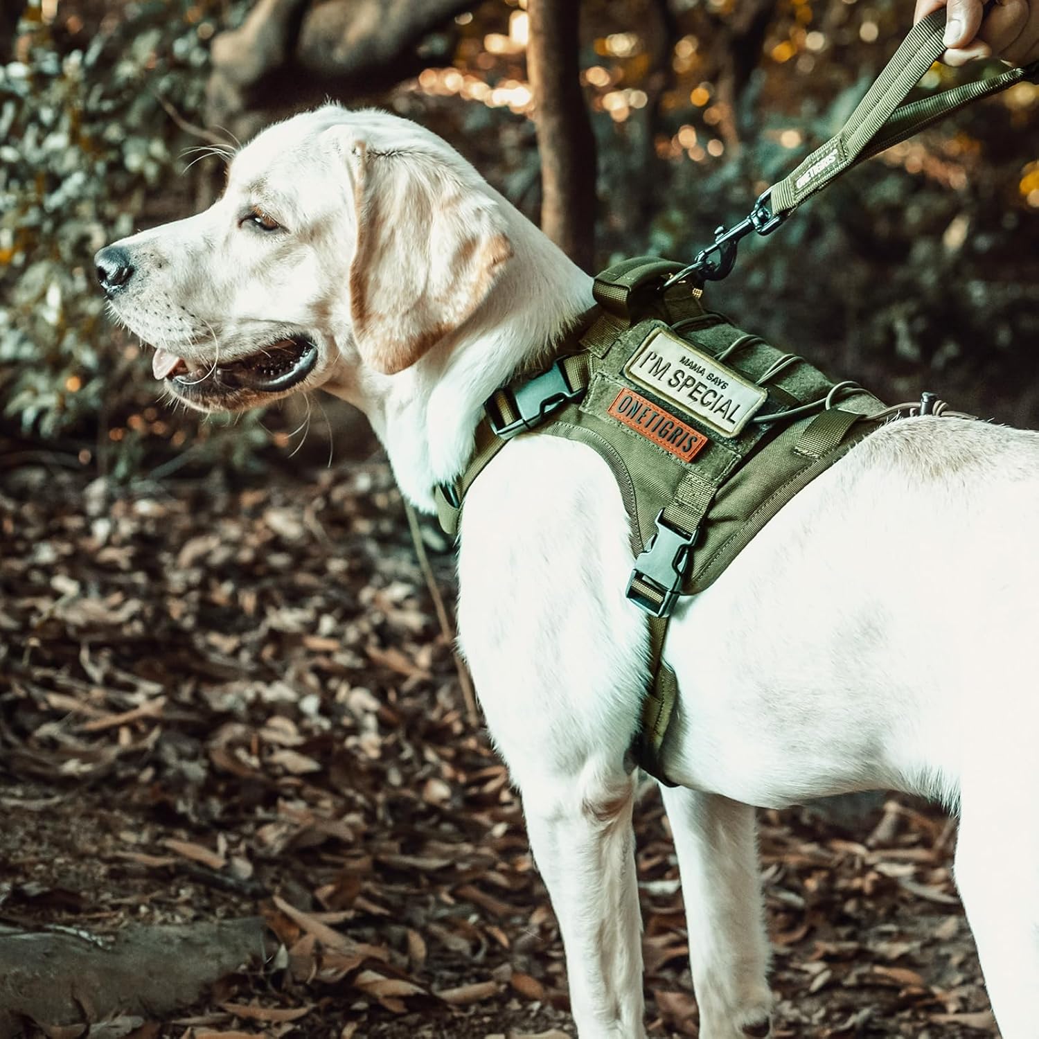 Ultimate Tactical Dog Harness: No-Pull, Breathable, and Adjustable Pet Vest with Handle for Outdoor Adventures (Ranger Green, Small)