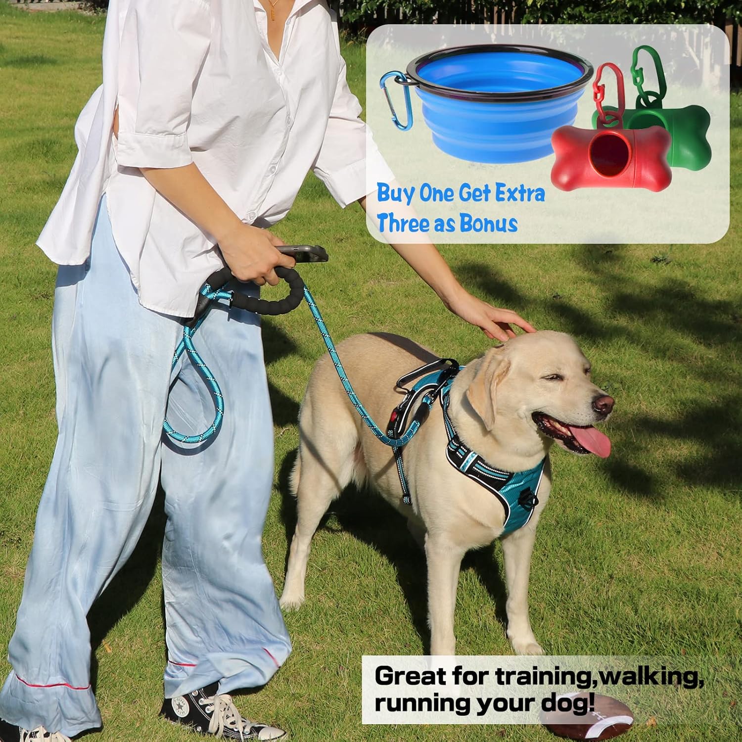 Ultimate No Pull Dog Harness with 5FT Leash - Adjustable Soft Padded Vest for Medium & Large Dogs in Stylish Blue