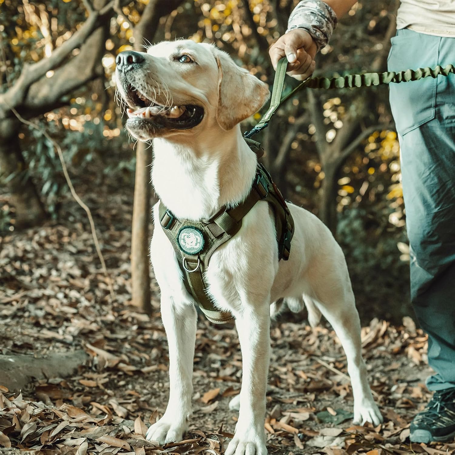 Ultimate Tactical Dog Harness: No-Pull, Breathable, and Adjustable Pet Vest with Handle for Outdoor Adventures (Ranger Green, Small)