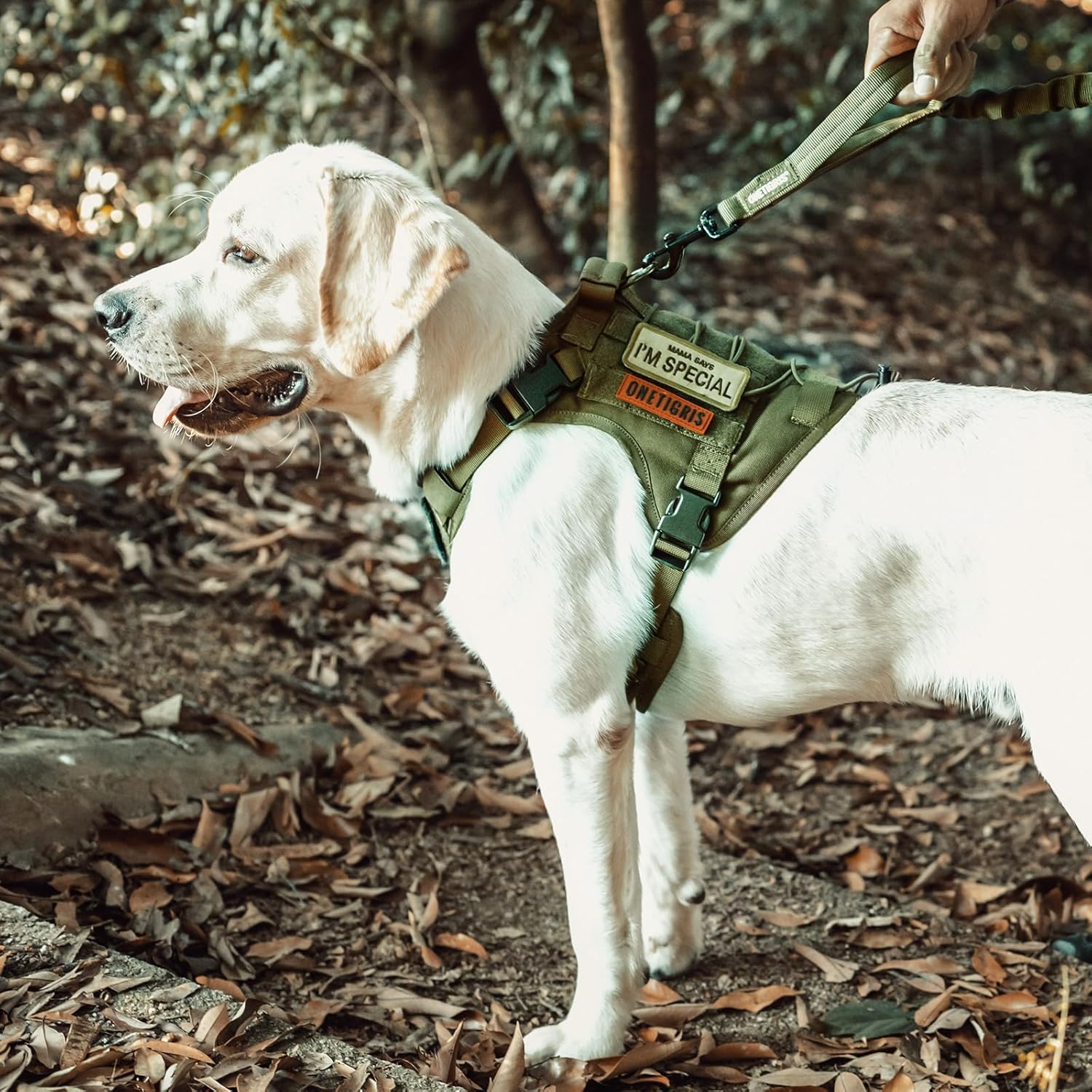 Ultimate Tactical Dog Harness: No-Pull, Breathable, and Adjustable Pet Vest with Handle for Outdoor Adventures (Ranger Green, Small)