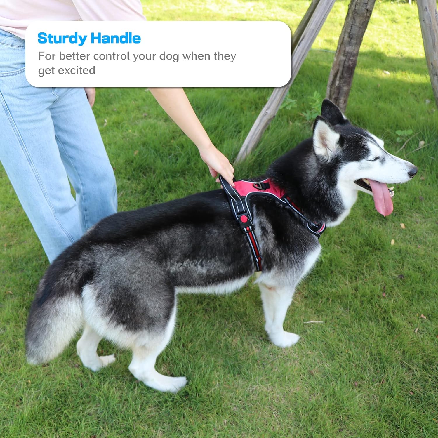 Ultimate No Pull Dog Harness with 5FT Leash - Adjustable Soft Padded Vest for Medium & Large Dogs in Stylish Blue