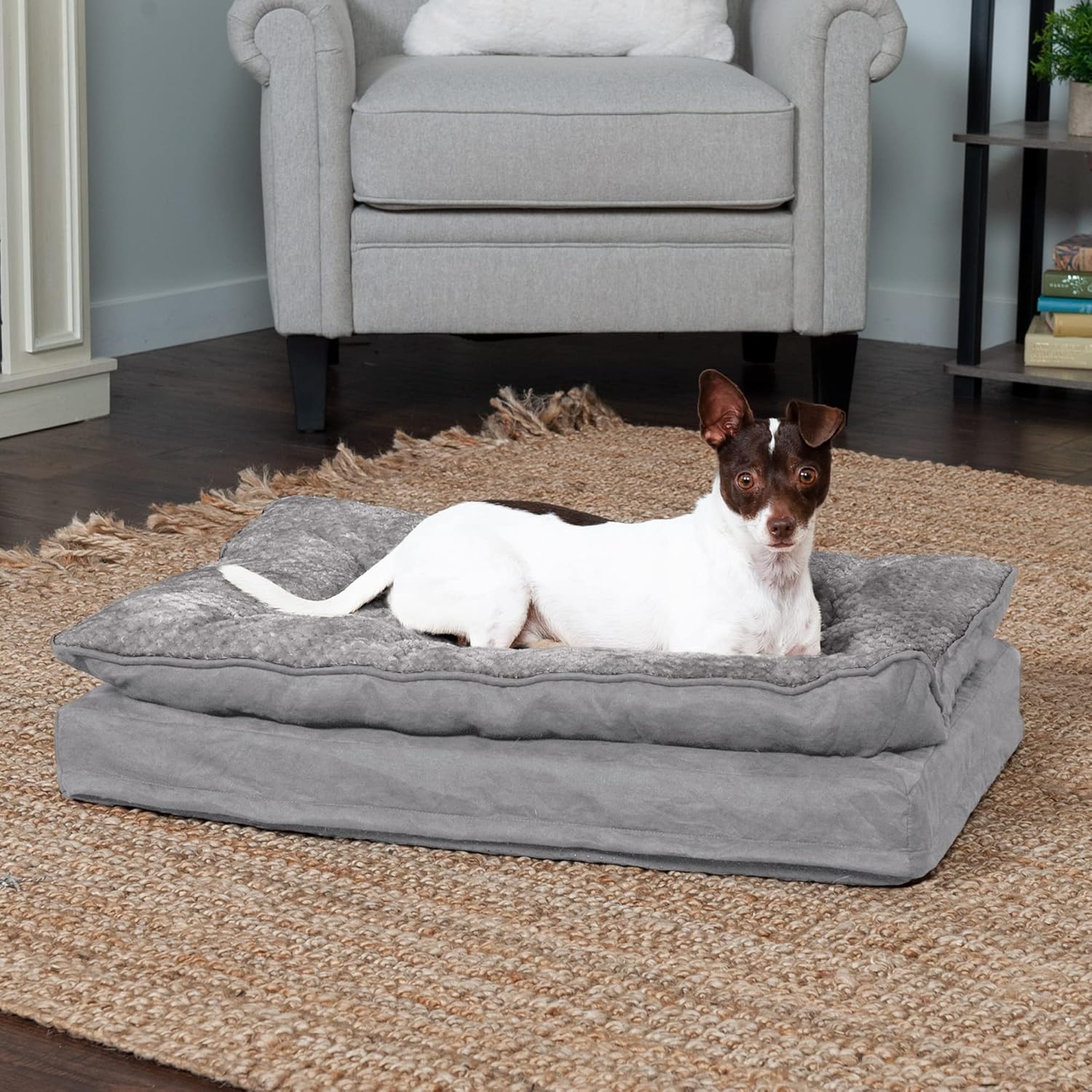 Luxurious Orthopedic Dog Bed with Removable Washable Cover - Perfect for Medium & Small Dogs Up to 35 lbs - Soft Minky Plush & Suede Pillow Top in Stylish Titanium Gray