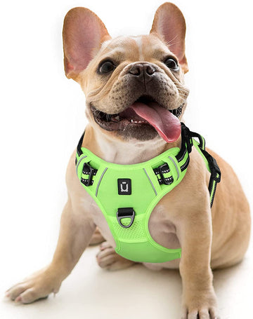 Waldseemuller Adjustable No Pull Dog Harness - Perfect Fit for Medium to Large Dogs, Easy Walk Design with Reflective Straps and 4 Buckles