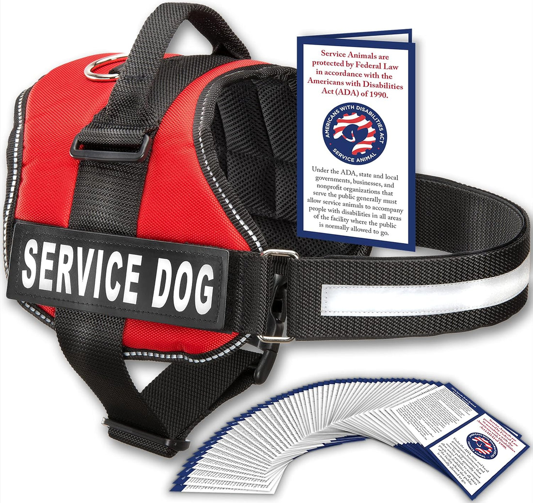 Ultimate Service Dog Vest - Bright Red Harness with Reflective Patches, Comfortable Mesh Design & Versatile Features for All Breeds