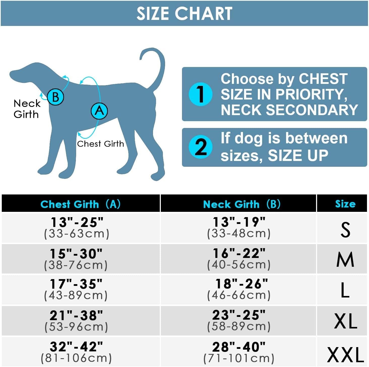 Ultimate No Pull Dog Harness and Leash Set - Reflective Vest with Dual Handle Leash for Maximum Control and Comfort in T-Purple