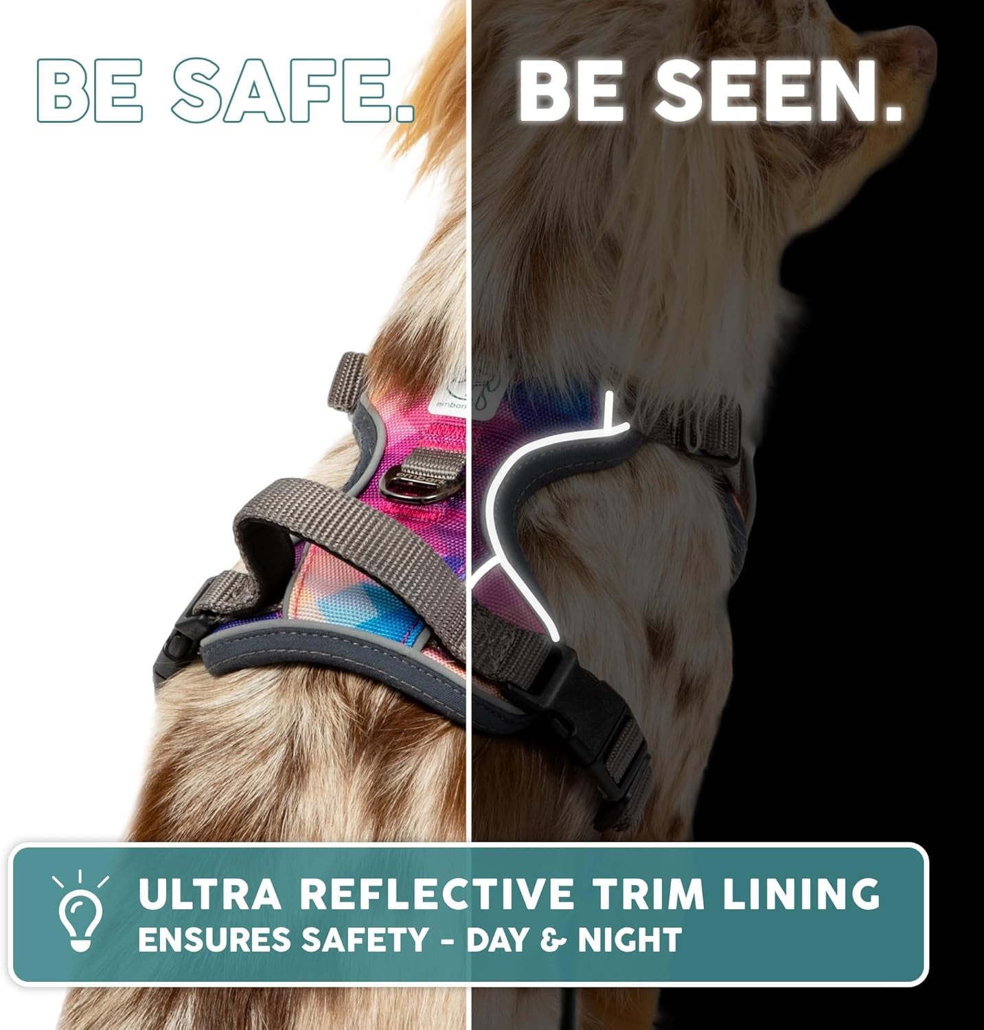 Embark Adventure Dog Harness - Ultimate No Pull Solution for Small Dogs with Reflective Trim and Gel Handle