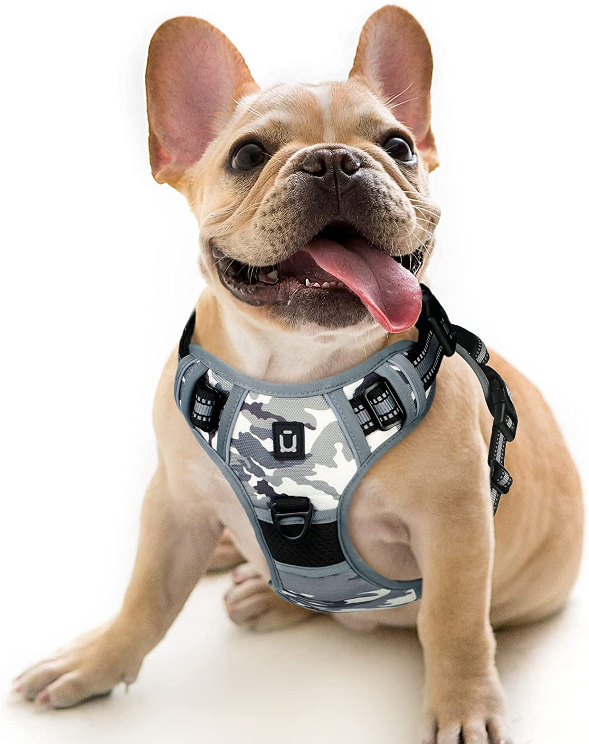 Waldseemuller No Pull Dog Harness - Ultimate Comfort and Control for Medium to Large Dogs