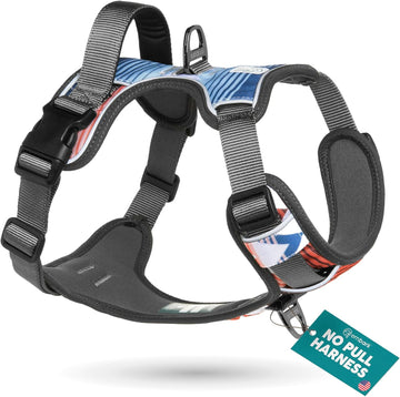Embark Adventure Dog Harness - Ultimate No Pull Solution for Small Dogs with Reflective Trim and Gel Handle