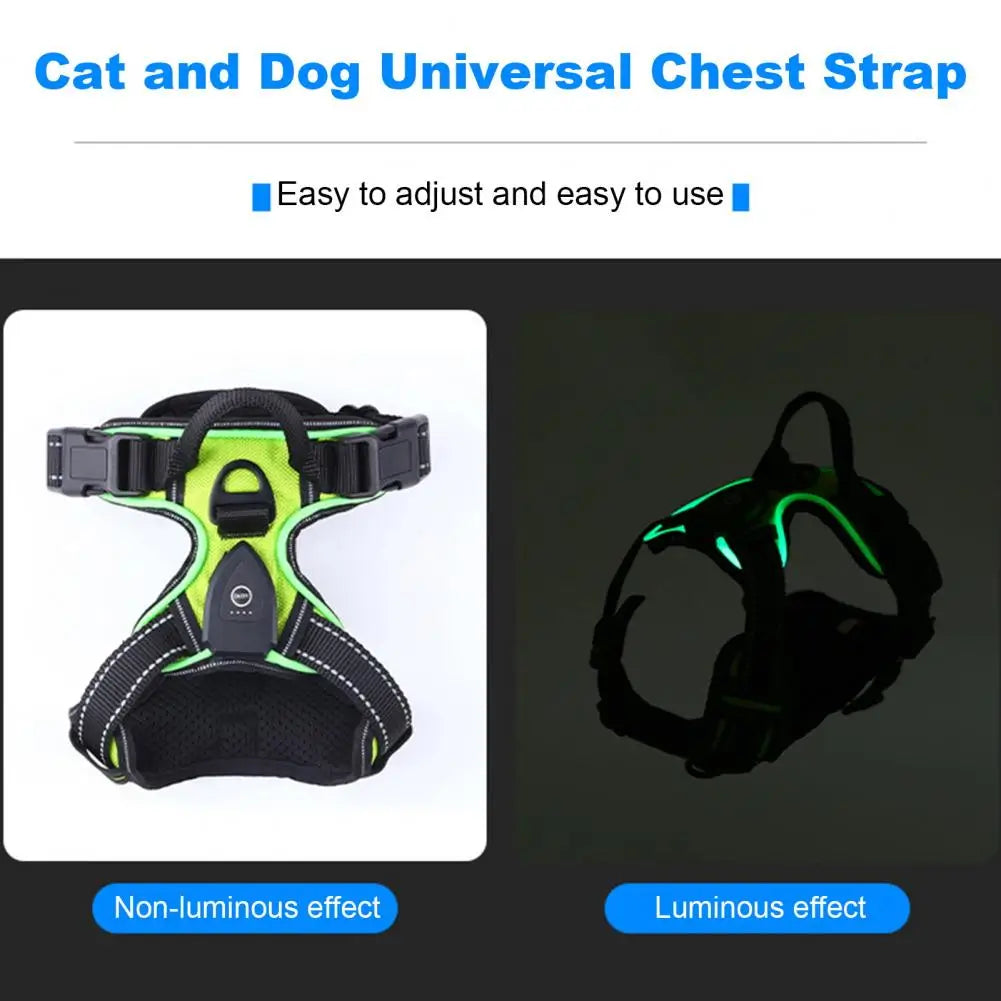 Illuminate Your Night Walks with the Adjustable Rechargeable LED Pet Harness - Perfect for Small to Medium Dogs!