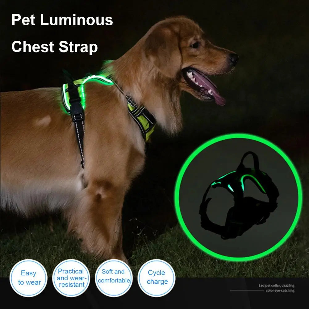 Illuminate Your Night Walks with the Adjustable Rechargeable LED Pet Harness - Perfect for Small to Medium Dogs!
