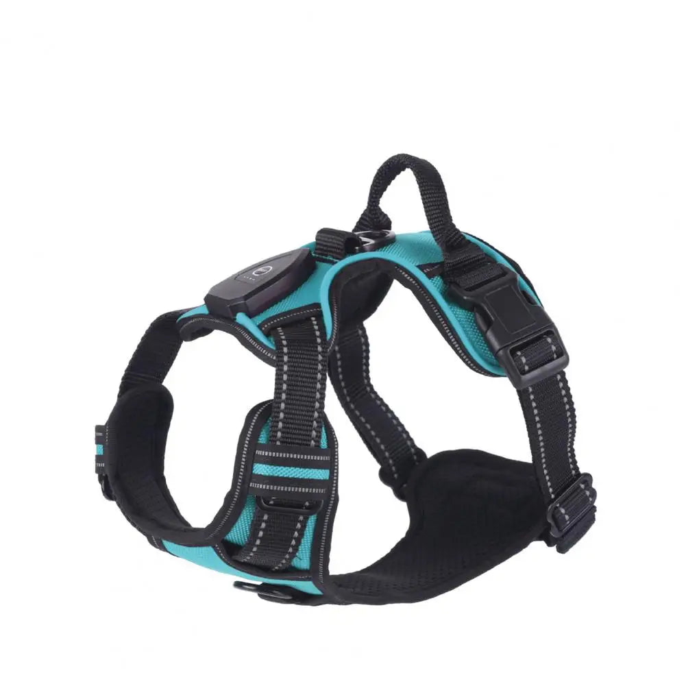 Illuminate Your Night Walks with the Adjustable Rechargeable LED Pet Harness - Perfect for Small to Medium Dogs!