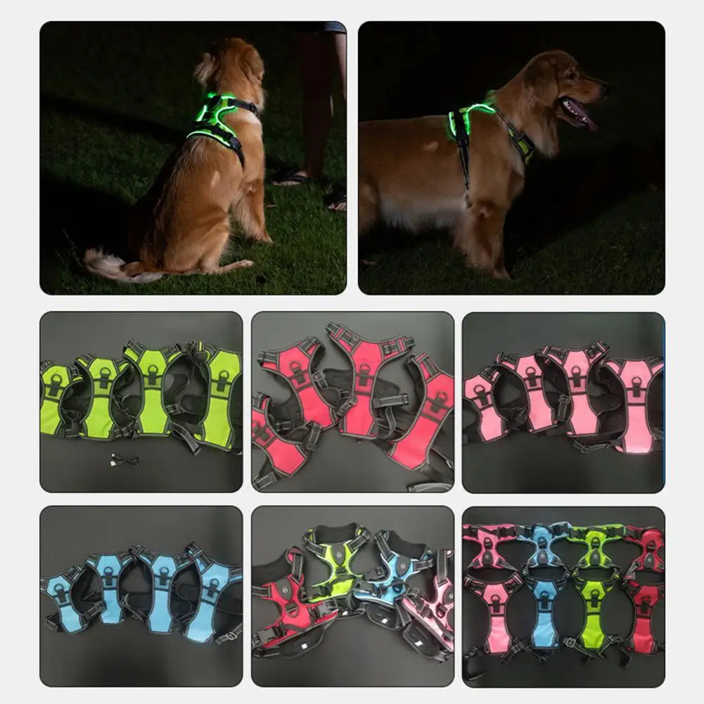 Illuminate Your Night Walks with the Adjustable Rechargeable LED Pet Harness - Perfect for Small to Medium Dogs!