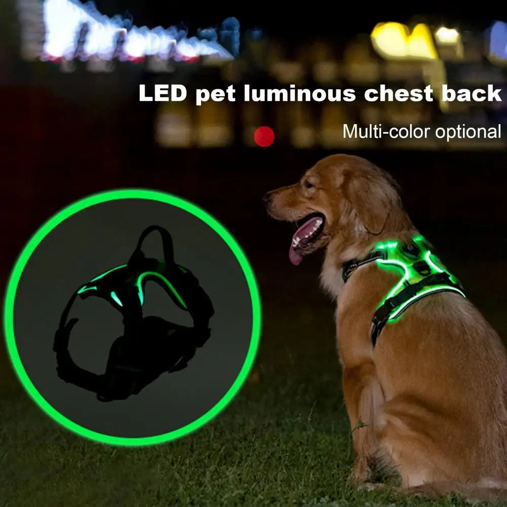 Illuminate Your Night Walks with the Adjustable Rechargeable LED Pet Harness - Perfect for Small to Medium Dogs!
