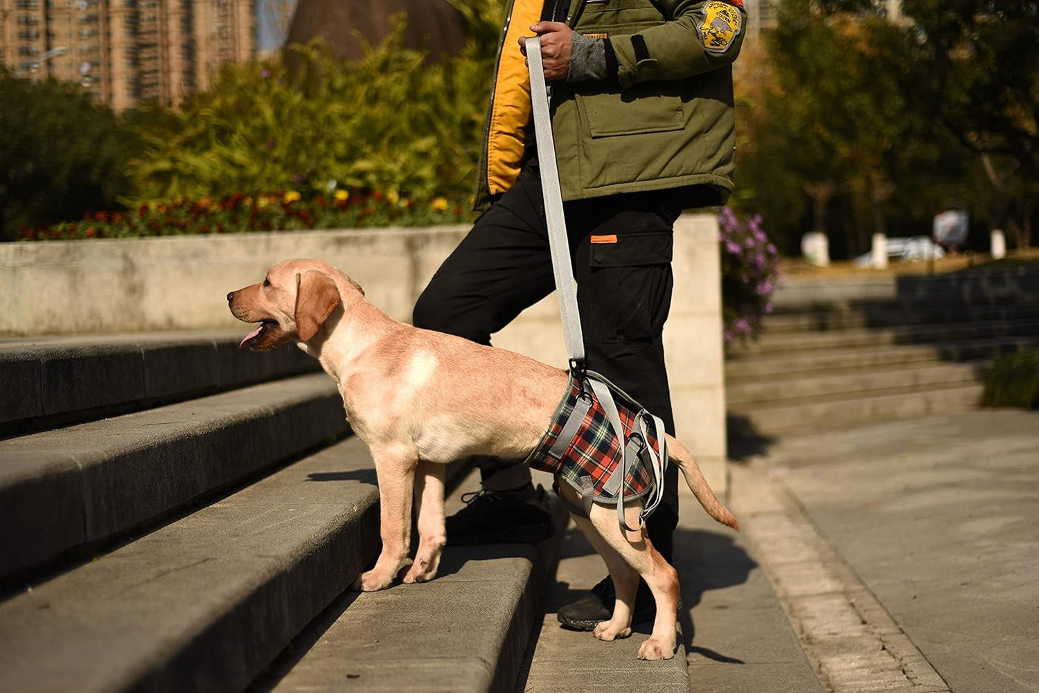 Ultimate Dog Lift Harness - Veterinarian Approved Support Sling for Senior Dogs with Joint Issues, Arthritis, and Recovery Needs