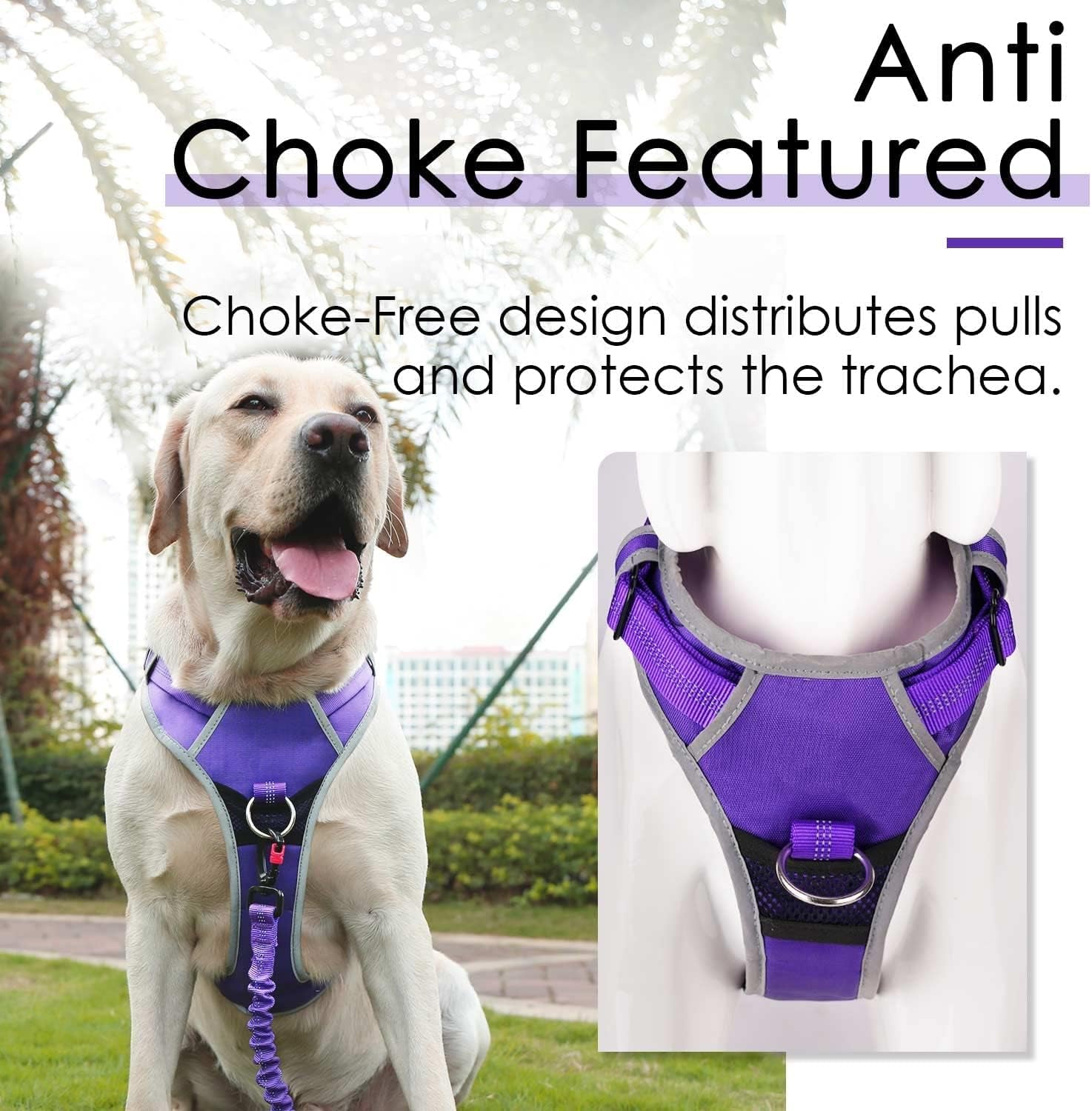 Ultimate No Pull Dog Harness and Leash Set - Reflective Vest with Dual Handle Leash for Maximum Control and Comfort in T-Purple