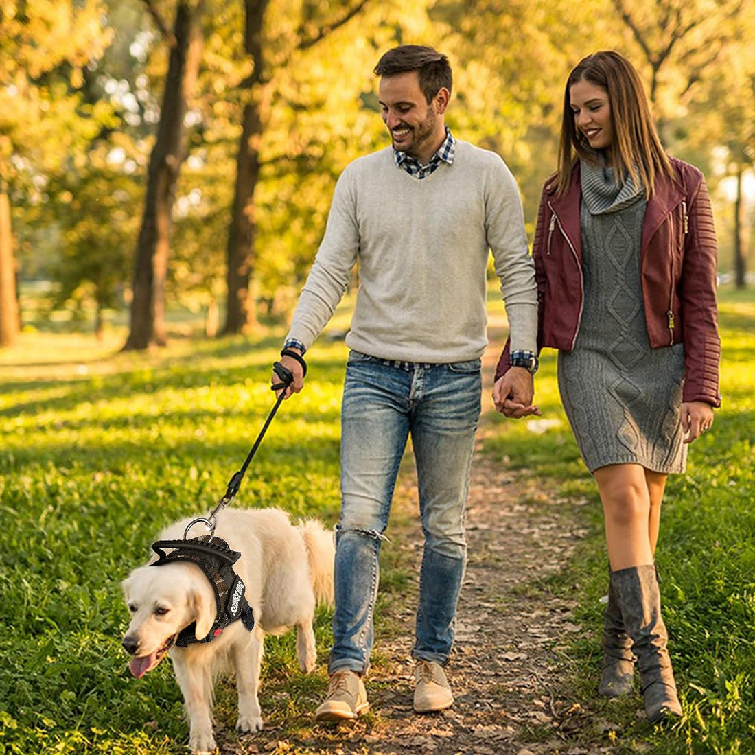 Ultimate Comfort Dog Harness - No Pull, Breathable, and Adjustable Soft Nylon Vest for Small to Large Dogs