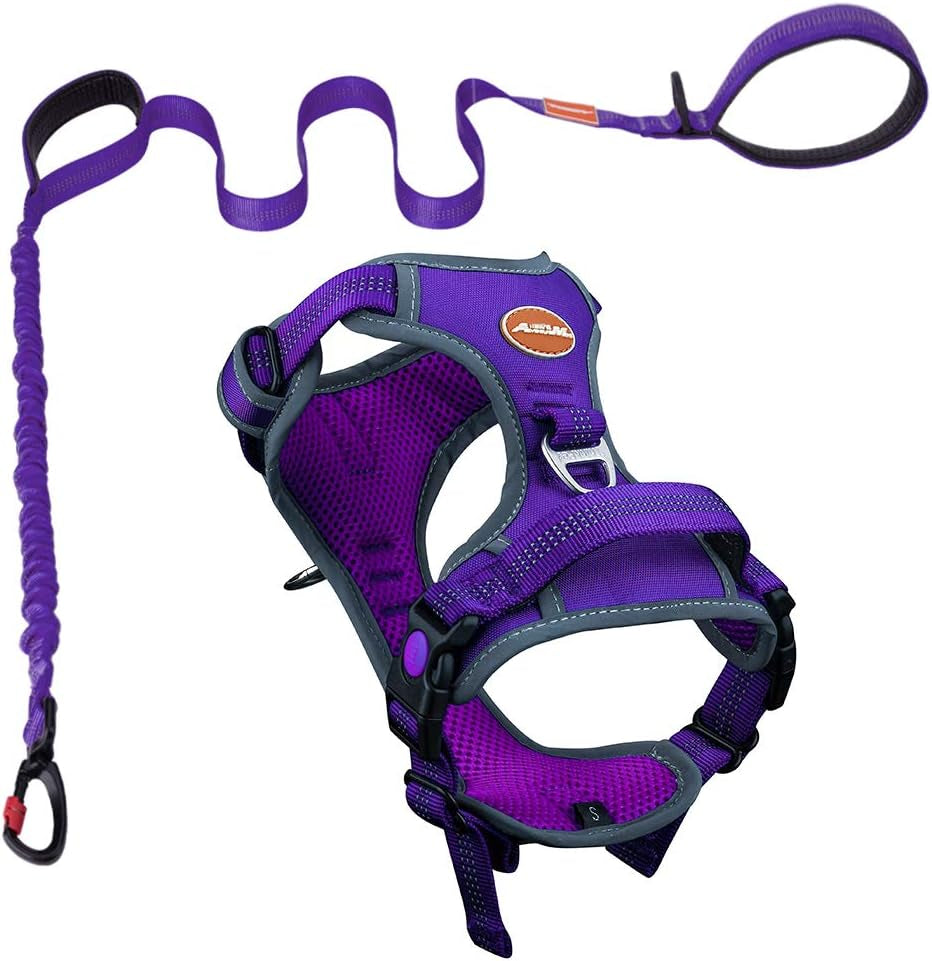 Ultimate No Pull Dog Harness and Leash Set - Reflective Vest with Dual Handle Leash for Maximum Control and Comfort in T-Purple