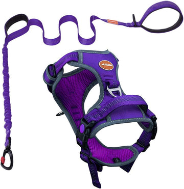Ultimate No Pull Dog Harness and Leash Set - Reflective Vest with Dual Handle Leash for Maximum Control and Comfort in T-Purple